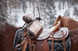 Reiten im Schnee