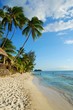 french polynesia