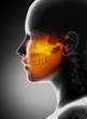 Maxillofacial concept  x-ray jaws