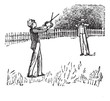 Game of Graces vintage engraving