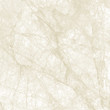 Beige marble texture background (High resolution)