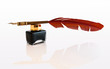 Foto: Feather quill Feather quill