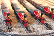 miniature railroad