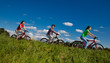 Family riding bikes
