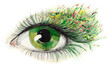 green human eye (series C)