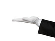 Elegant human hand presenting Your text or product