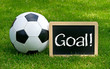 Photo: Soccer Goal Soccer Goal