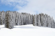 Winterlandschaft