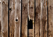 Foto: Altes Holz Altes Holz