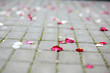Rose petals laying at the ground after wedding ceremony Rose petals laying at the ground after wedding ceremony