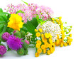a bouquet of wildflowers
