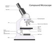 Compound Microscope with labels