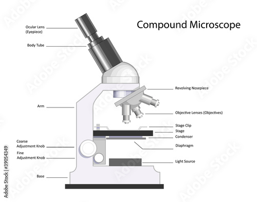 Label Compound Microscope
