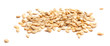handful of cleaned salted sunflower seeds isolated on white back handful of cleaned salted sunflower seeds isolated on white back