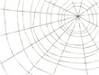 Vector: Spider Web Spider Web