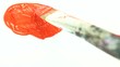 Painting with paintbrush and red color  on a white background