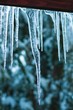 Icicles on the roof