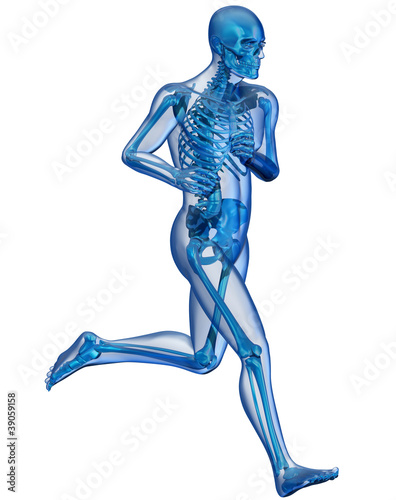 Illustration: Corpo umano e scheletro in corsa Corpo umano e scheletro in corsa