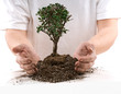 Photo: Protecting the environment Protecting the environment