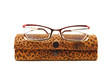 glasses with case