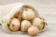 Fresh onions in package