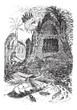 Warlike termite (bellicosus terms) and its nest. - 1. male, 2, f