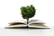Natur und Bildung