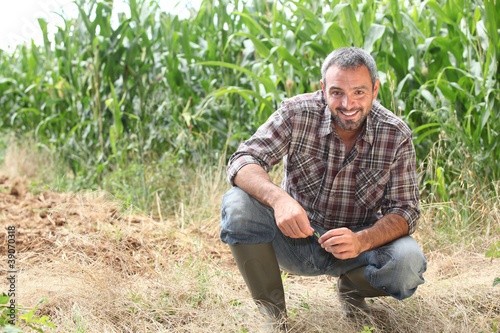 Photo: Farmer kneeling by crops Farmer kneeling by crops
