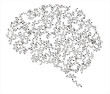 human brain human brain