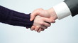 Woman and man handshake. Business situation