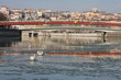 De la glace sur la Saone De la glace sur la Saone