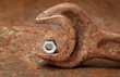 Small screw nut in wrench jaws