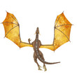 dragon from above