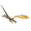 dragon diving