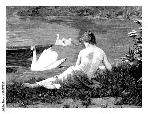 Illustration: Swan Lake Swan Lake