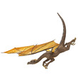 dragon hunting down
