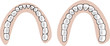 apparato dentale