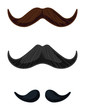 The English Mustache