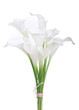 bouquet of calla lilies