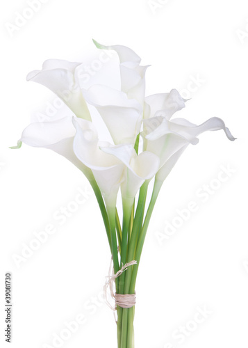 Photo: bouquet of calla lilies bouquet of calla lilies