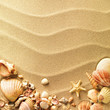 sea shells with sand as background