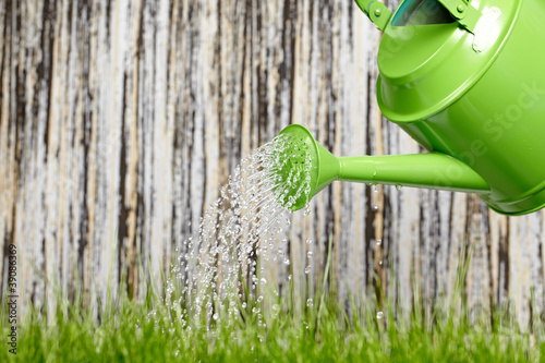 Photo: Watering can on the garden close up shoot Watering can on the garden close up shoot