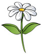 canvas print picture - flower_5