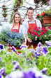 Florists couple working at flower shop.