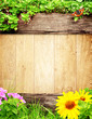Summer background