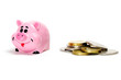 Pink pig moneybox and money