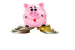Pink pig moneybox and money
