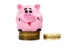 Pink pig moneybox and money