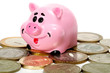 Pink pig moneybox and money