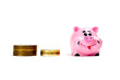 Pink pig moneybox and money